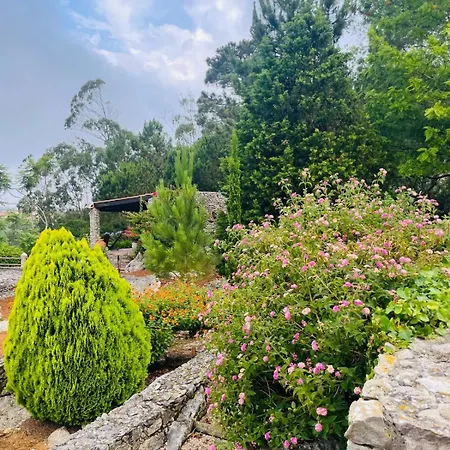 Alto Paraiso Boutique Деревянный коттедж