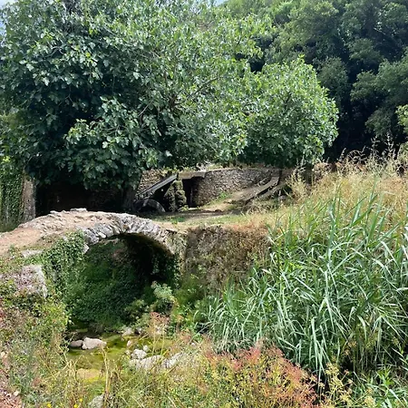 Alto Paraiso Boutique * Reguengo Grande