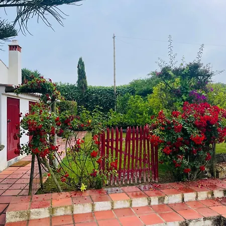 Alto Paraiso Boutique * Reguengo Grande