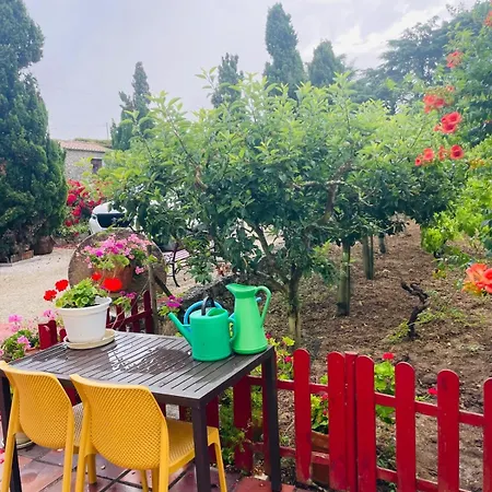 Alto Paraiso Boutique Деревянный коттедж Reguengo Grande