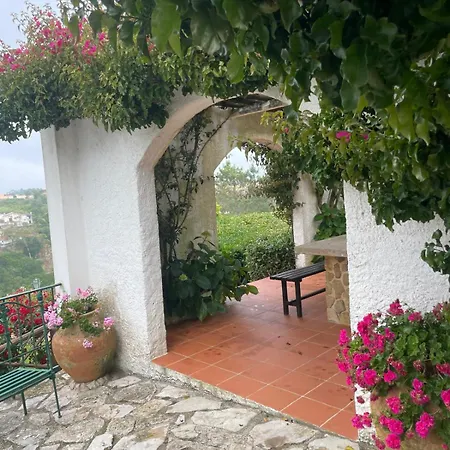 Alto Paraiso Boutique