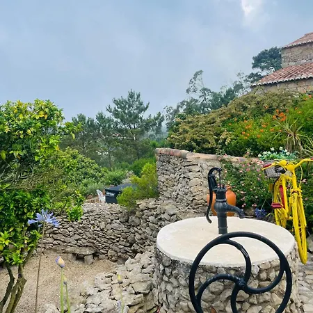 Alto Paraiso Boutique Деревянный коттедж