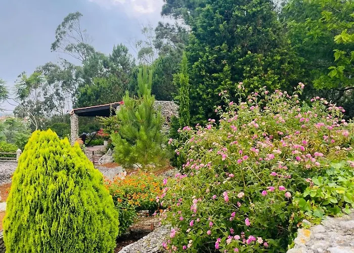 Alto Paraíso Boutique Alojamento de Turismo Selvagem