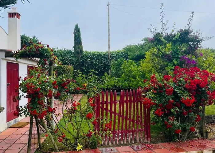 Alto Paraíso Boutique * Reguengo Grande