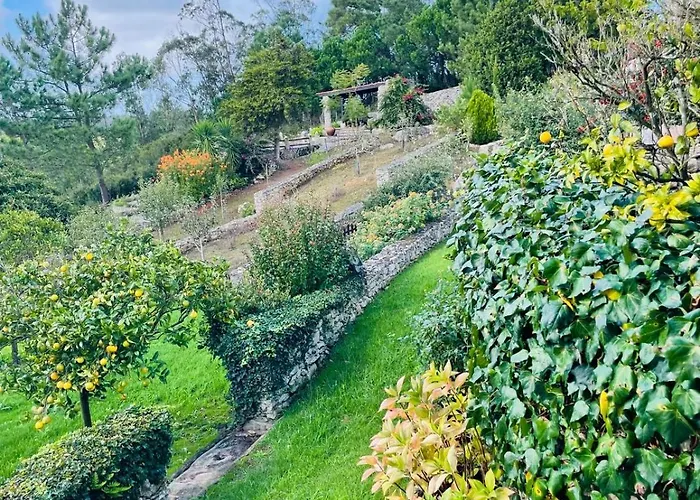 Alto Paraíso Boutique Alojamento de Turismo Selvagem *